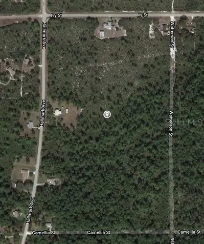 1411 Caladium Street Lake Placid FL 33852