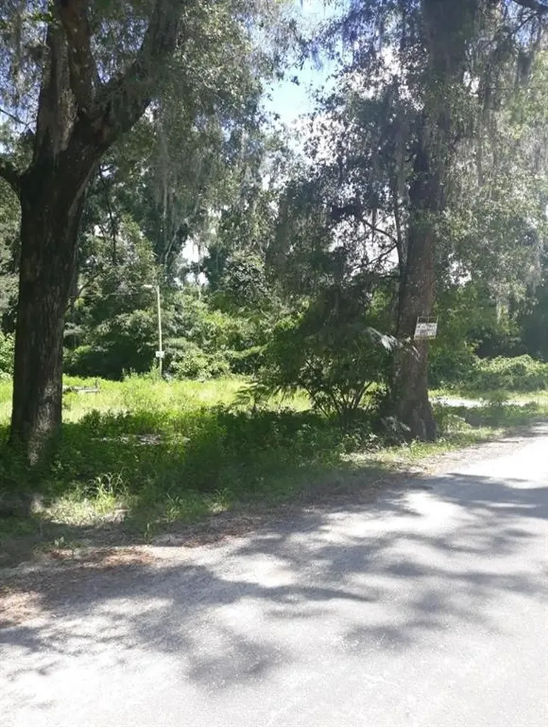 17299 NE 16th Terrace Citra FL 32113