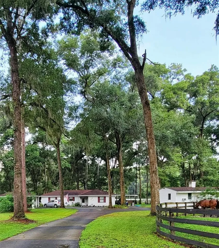 3401 SE 131st Street Belleview FL 34420