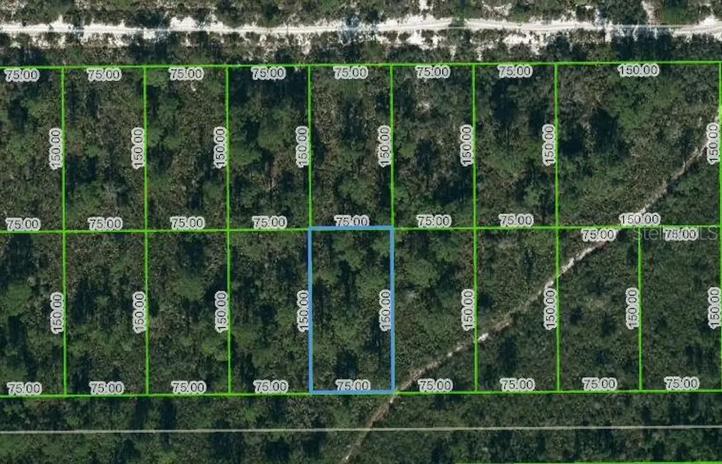 1442 Bittersweet Street Lake Placid FL 33852