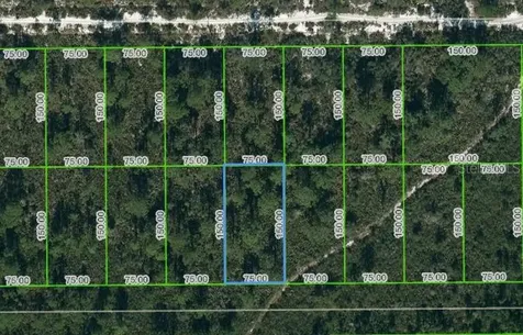 1442 Bittersweet Street Lake Placid FL 33852