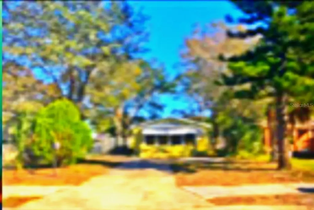 2510 38th Street S St Petersburg FL 33711