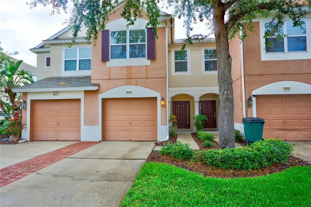26539 Chimney Spire Lane Wesley Chapel FL 33544
