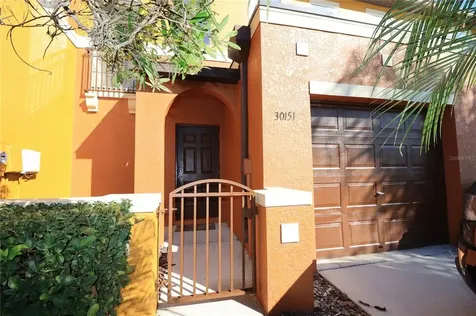 30151 Goodwick Way Wesley Chapel FL 33543