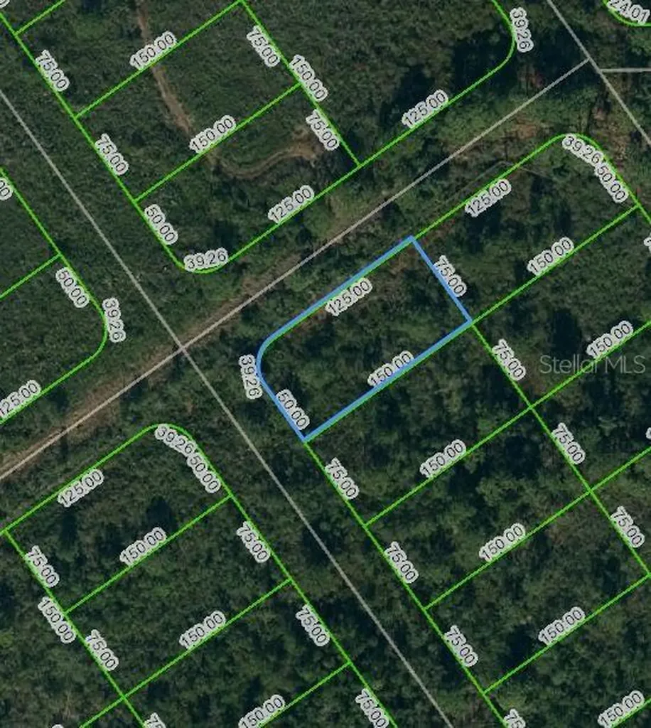 569 Kennedy Street Lake Placid FL 33852