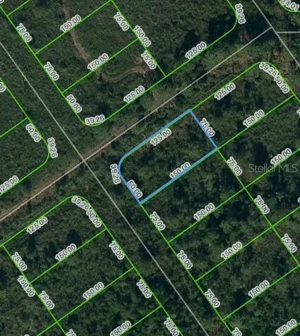 569 Kennedy Street Lake Placid FL 33852