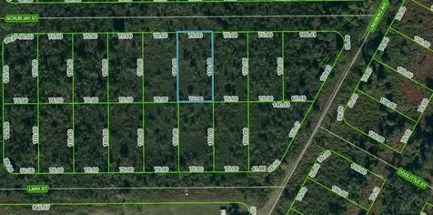 1431 Scrub Jay Street Lake Placid FL 33852