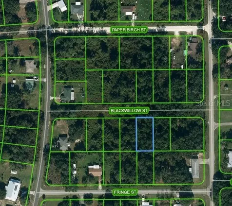 1505 Prentice Street Lake Placid FL 33852