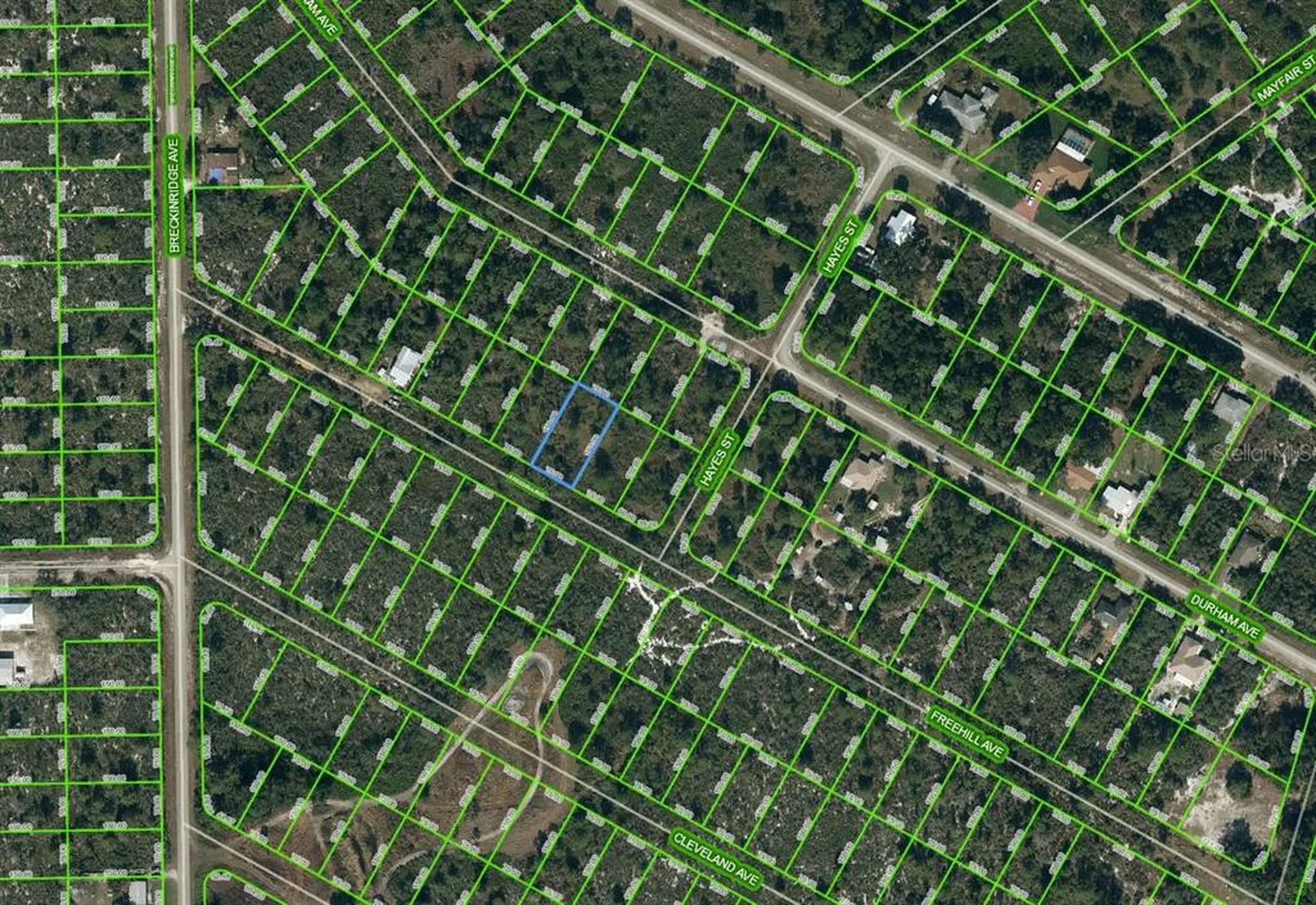 1034 Freehill Avenue Lake Placid FL 33852