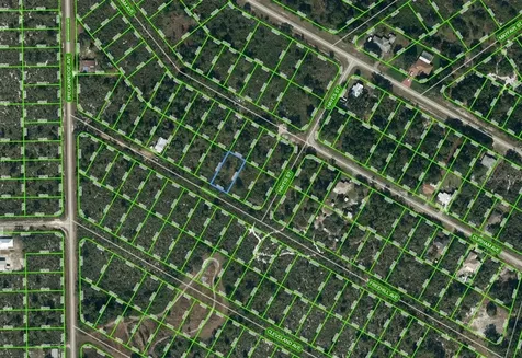 1034 Freehill Avenue Lake Placid FL 33852