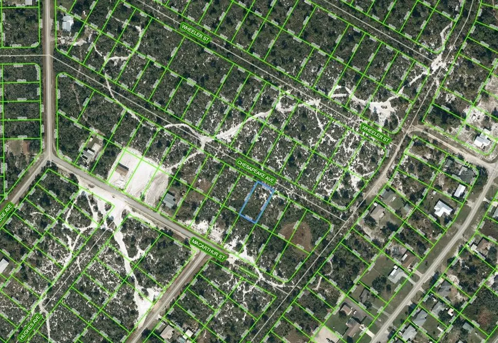 1043 Chesapeake Avenue Lake Placid FL 33852