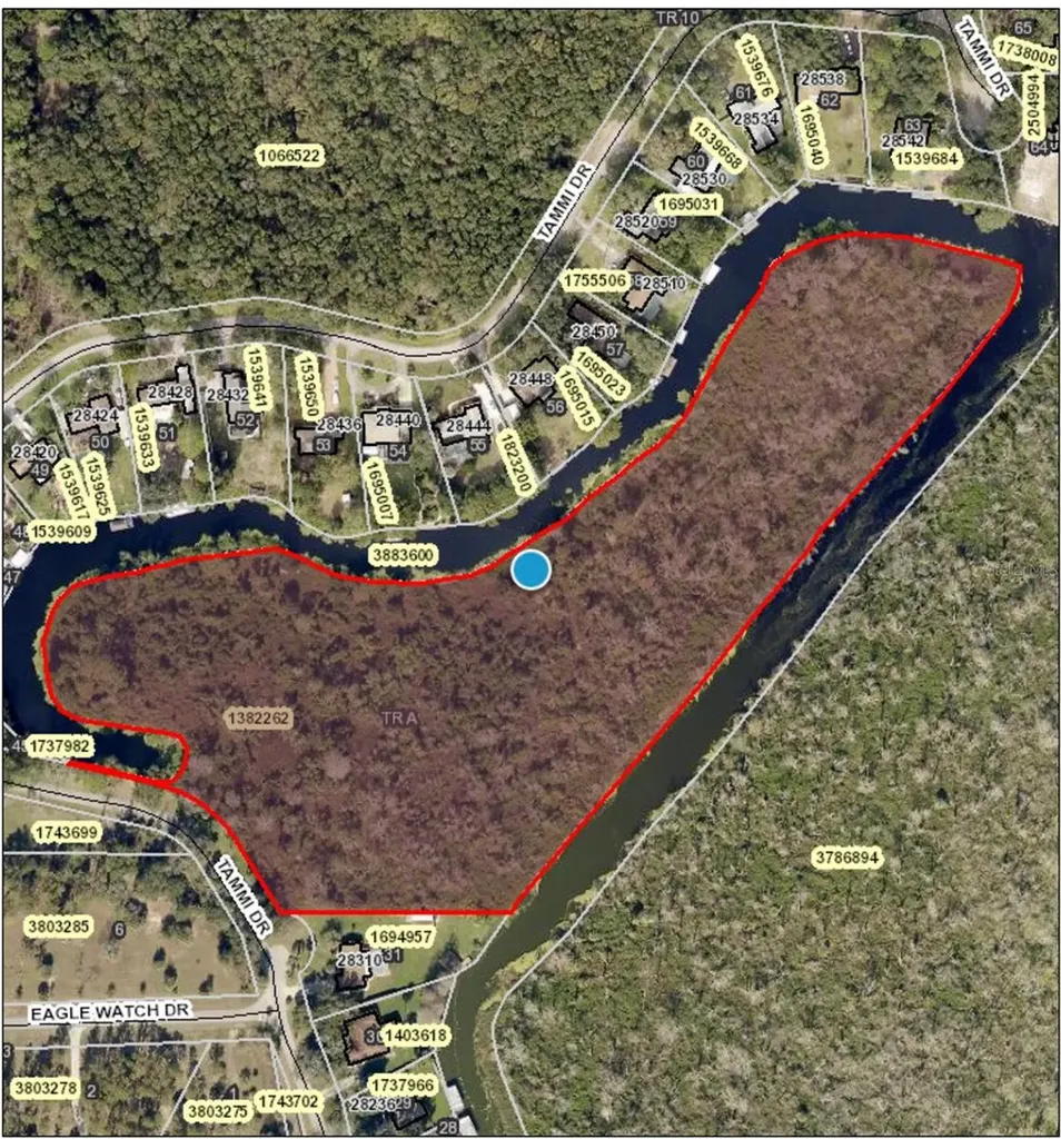 Tammi Drive Tavares FL 32778