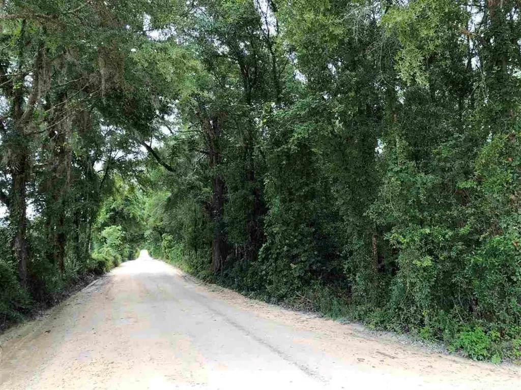 4915 SW 298th Street Newberry FL 32669