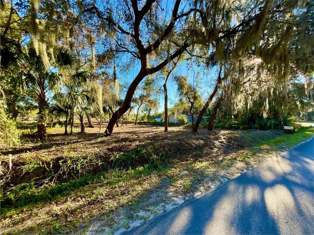 Lot 66 & Lot 67 Ashley Street Hawthorne FL 32640