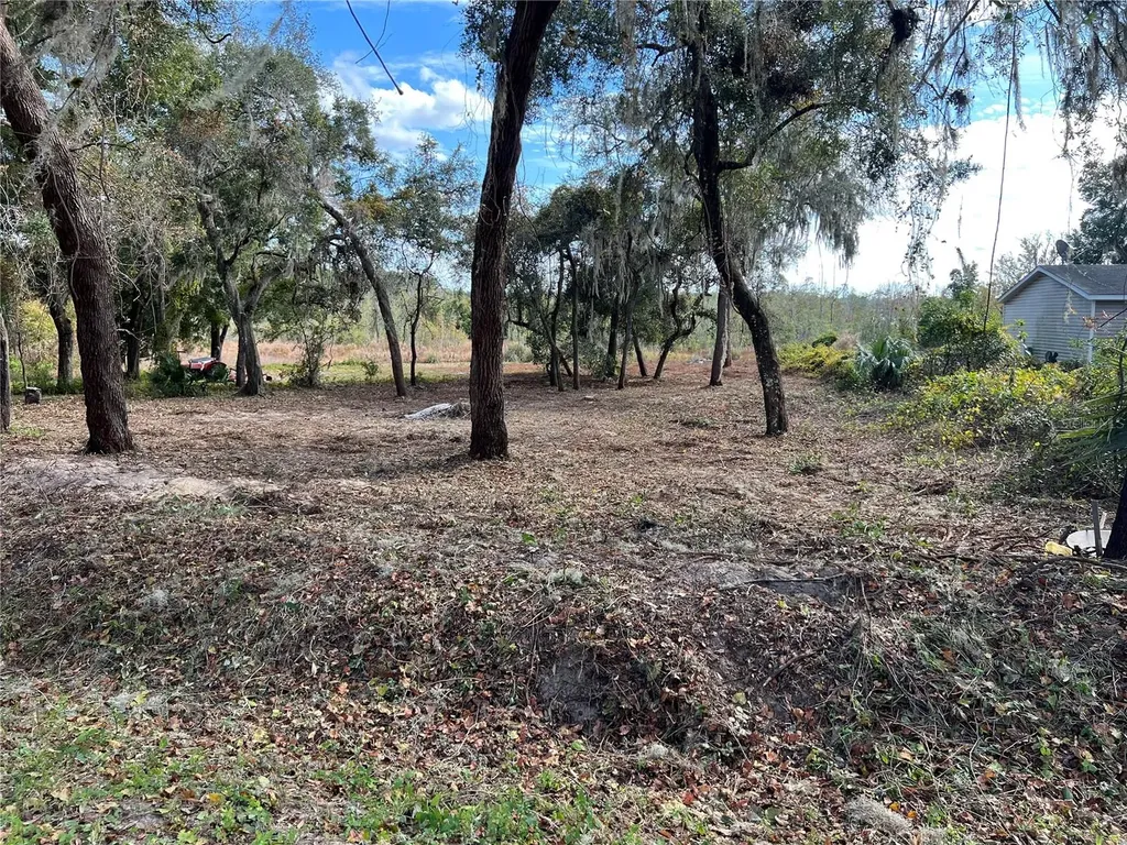 Lot 66 & Lot 67 Ashley Street Hawthorne FL 32640