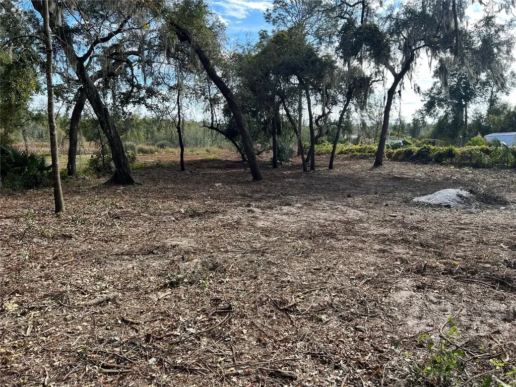 Lot 66 & Lot 67 Ashley Street Hawthorne FL 32640