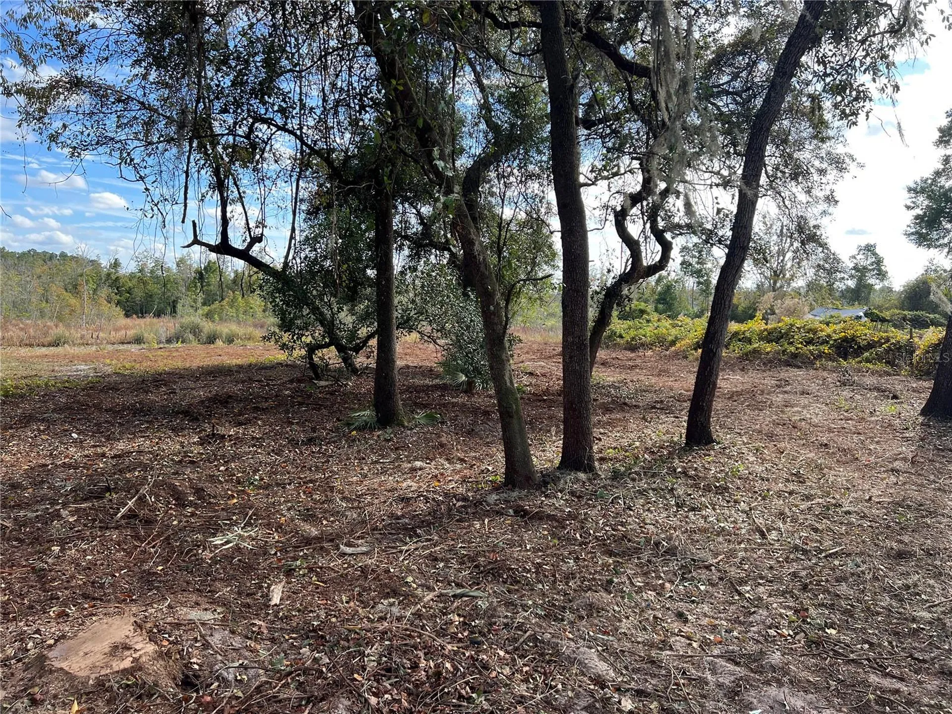 Lot 66 & Lot 67 Ashley Street Hawthorne FL 32640