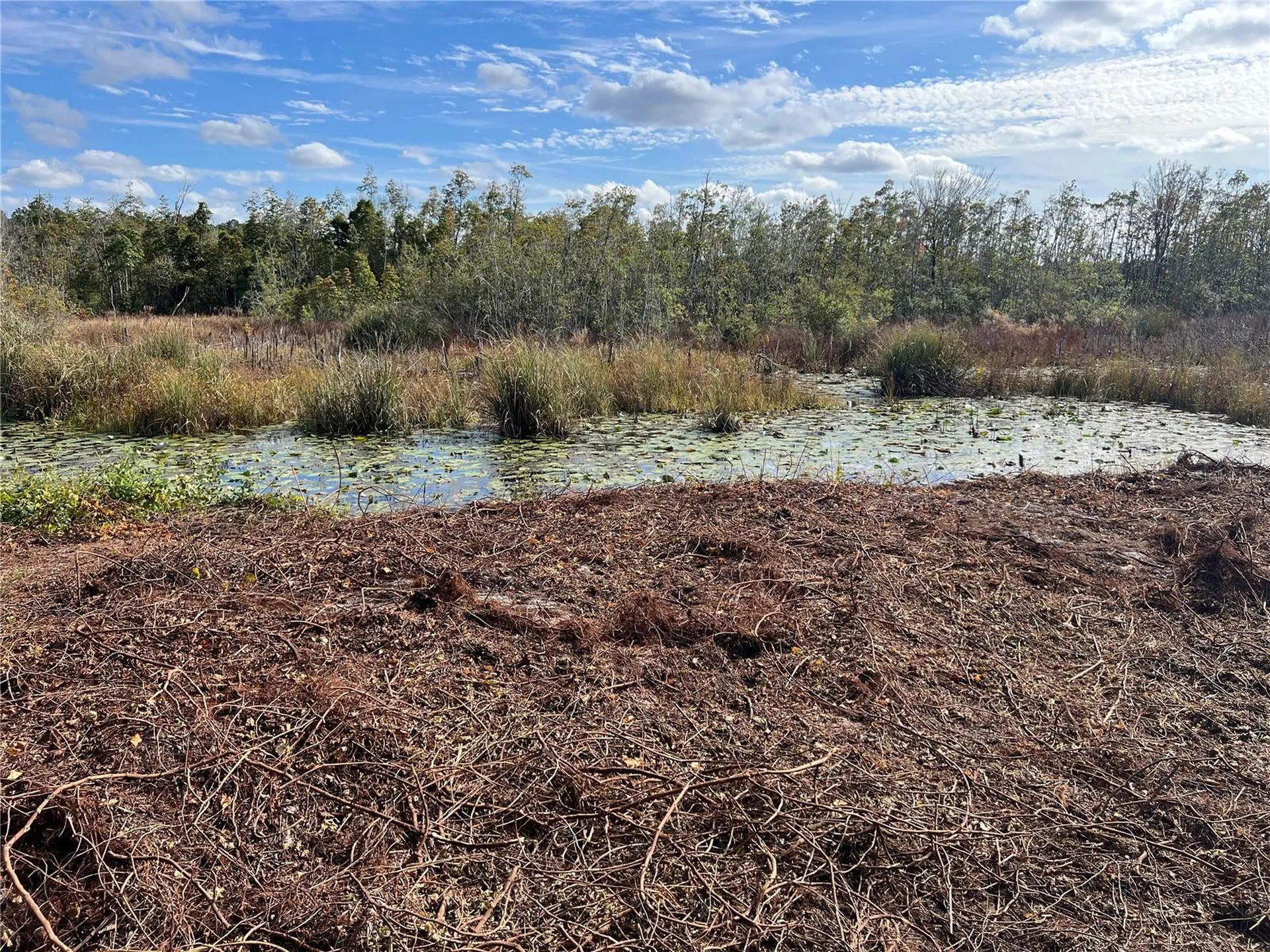 Lot 66 & Lot 67 Ashley Street Hawthorne FL 32640