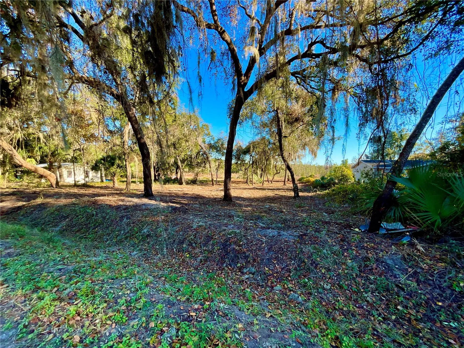 Lot 66 & Lot 67 Ashley Street Hawthorne FL 32640