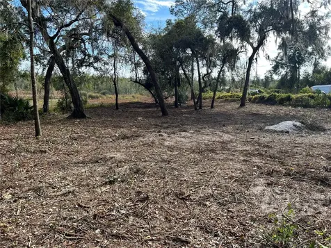 Lot 66 & Lot 67 Ashley Street Hawthorne FL 32640