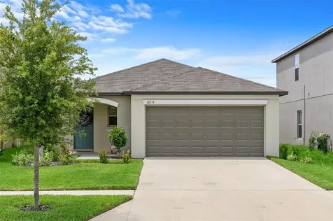 10213 Cool Waterlily Avenue Riverview FL 33578