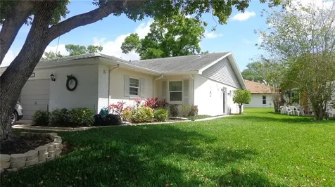 3207 Mcmath Drive Palm Harbor FL 34684