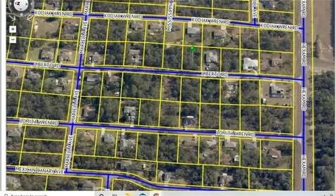 11092 Liberto Road Weeki Wachee FL 34614