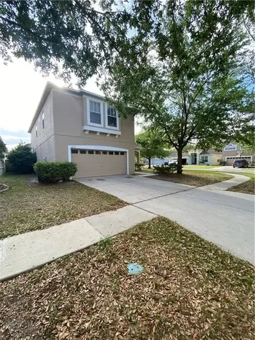 8703 Sandy Plains Drive Riverview FL 33578