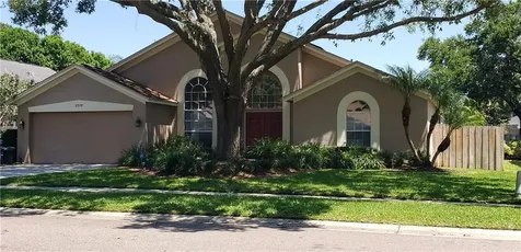 3979 Jenita Drive Palm Harbor FL 34685