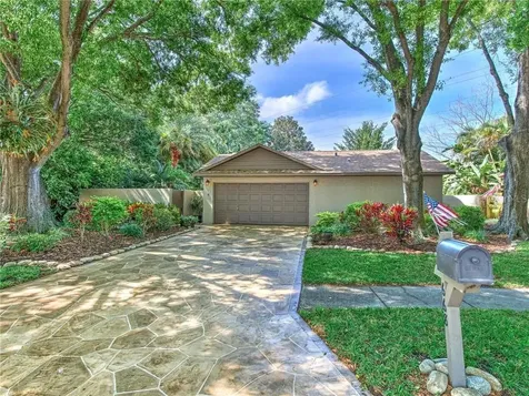 668 Channing Drive Palm Harbor FL 34684