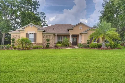 6104 Wild Orchid Drive Lithia FL 33547