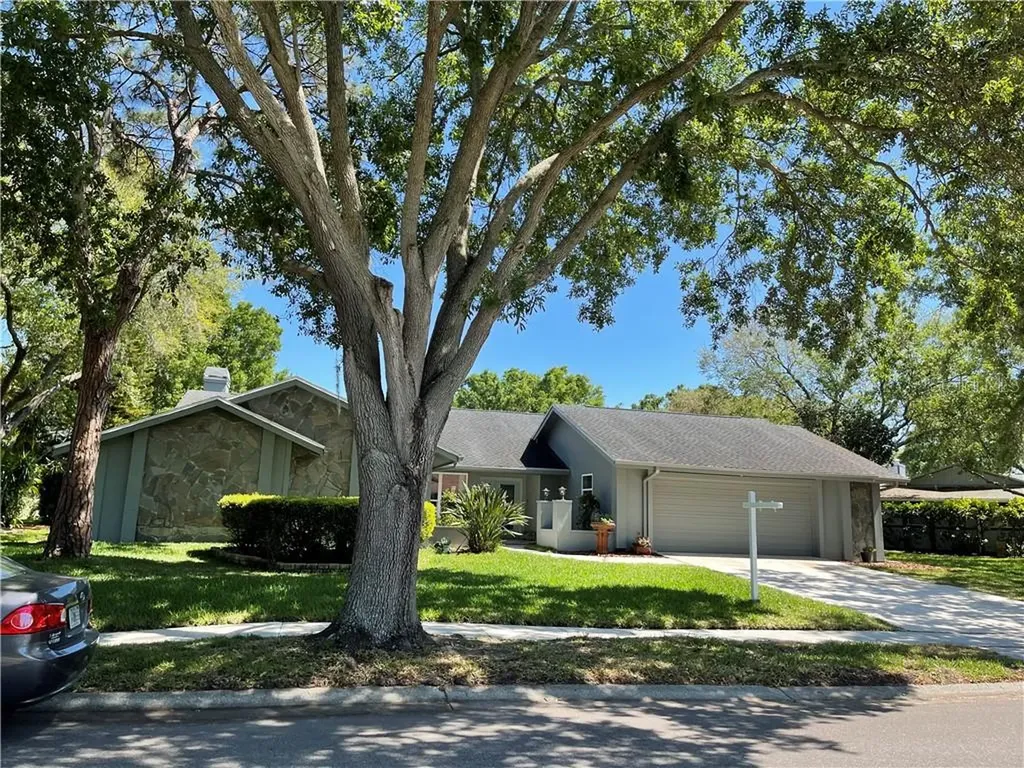 410 Holly Hill Road Oldsmar FL 34677