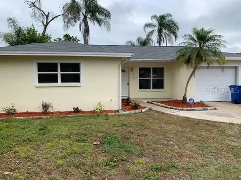 7336 Filbert Lane Tampa FL 33637