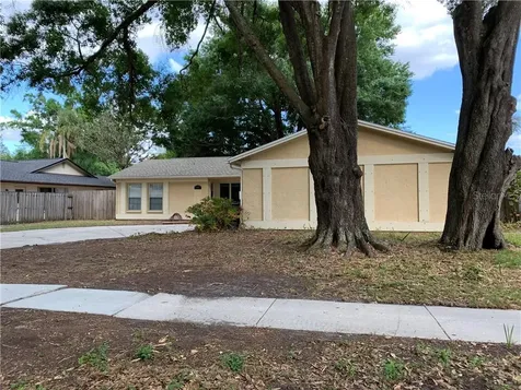 14011 Cherry Lake Drive Tampa FL 33618