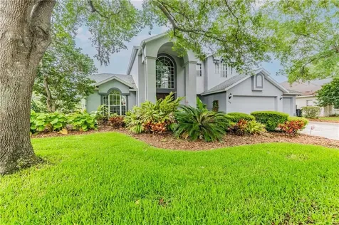4779 Brayton Terrace N Palm Harbor FL 34685