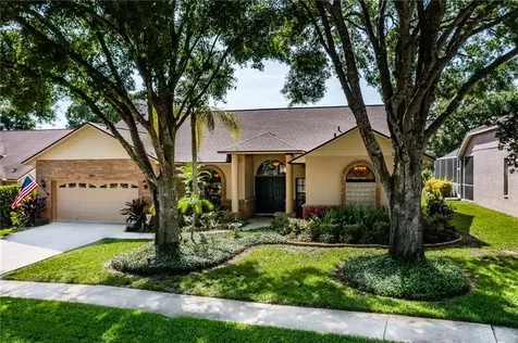 2916 Starmount Drive Valrico FL 33596