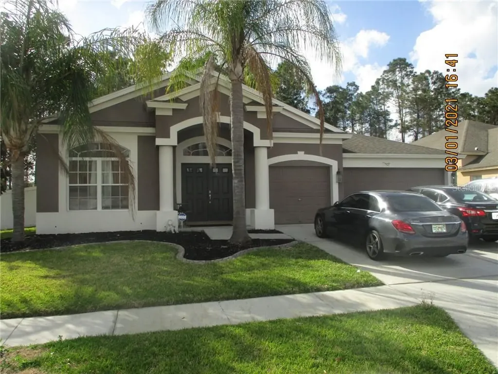 7437 Shore Acres Street Wesley Chapel FL 33545