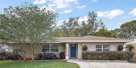 615 Vincent Drive Mount Dora FL 32757