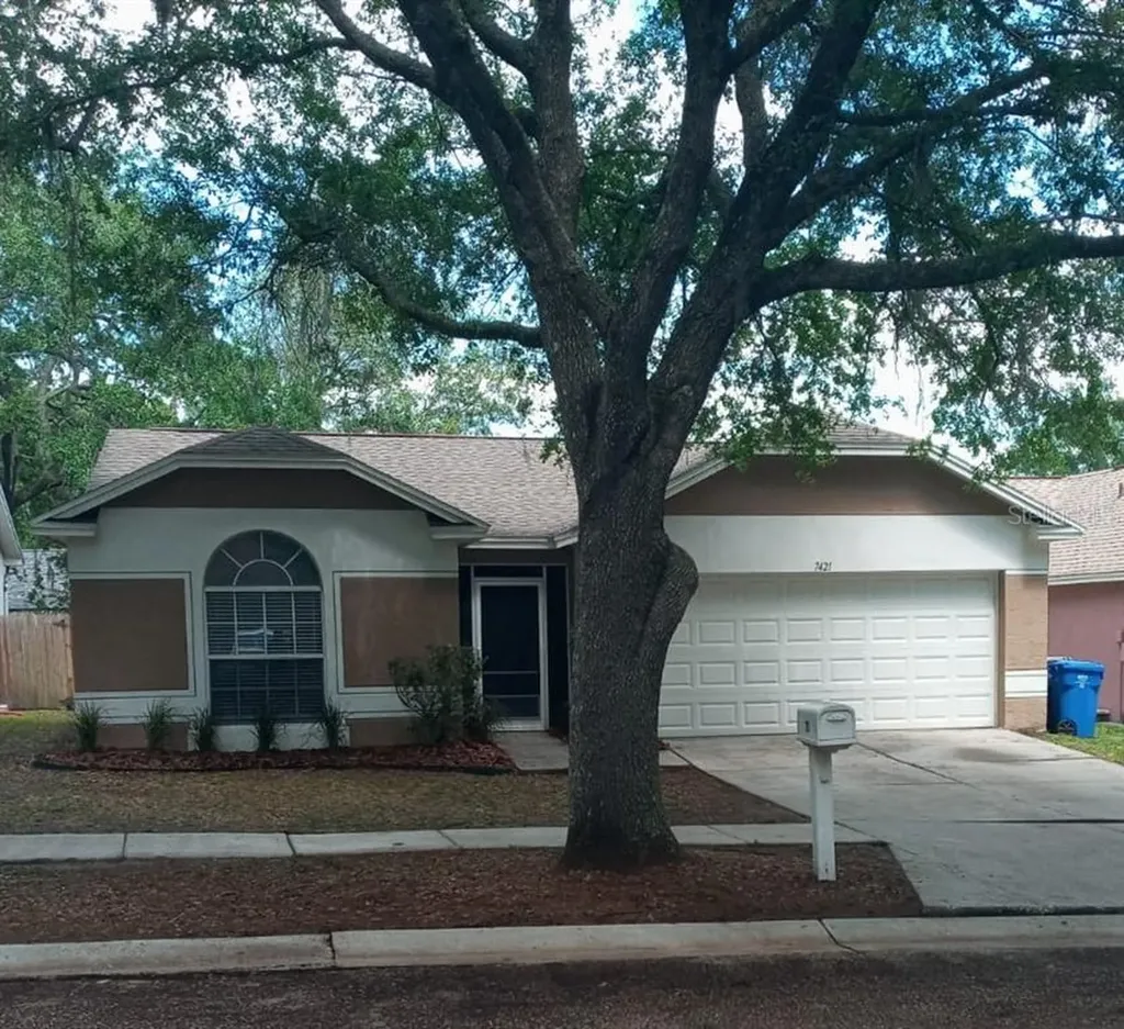 7421 Becky Thatcher Lane Tampa FL 33637