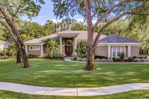 6007 Hammock Hill Avenue Lithia FL 33547