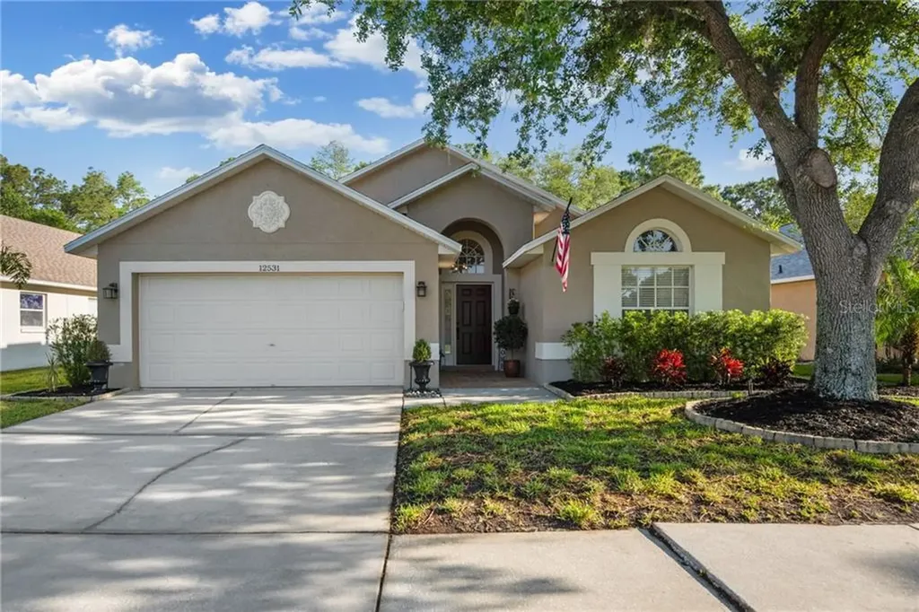 12531 Sparkleberry Road Tampa FL 33626