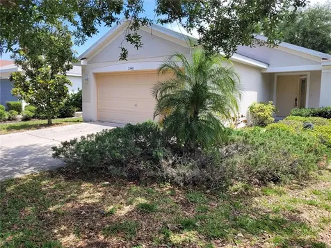 11348 Palm Island Avenue Riverview FL 33569