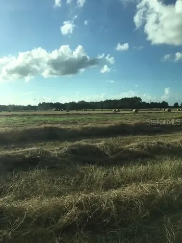 3005 English Road Plant City FL 33567