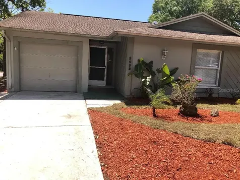 2998 Cypress Green Drive Palm Harbor FL 34684