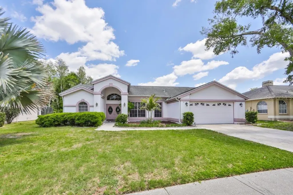 4624 Basswood Street Land O Lakes FL 34639