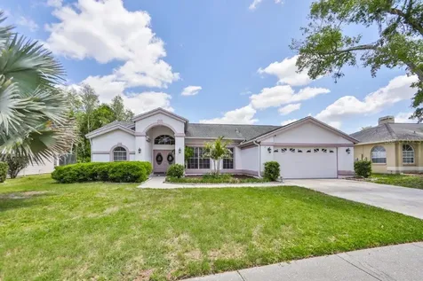 4624 Basswood Street Land O Lakes FL 34639