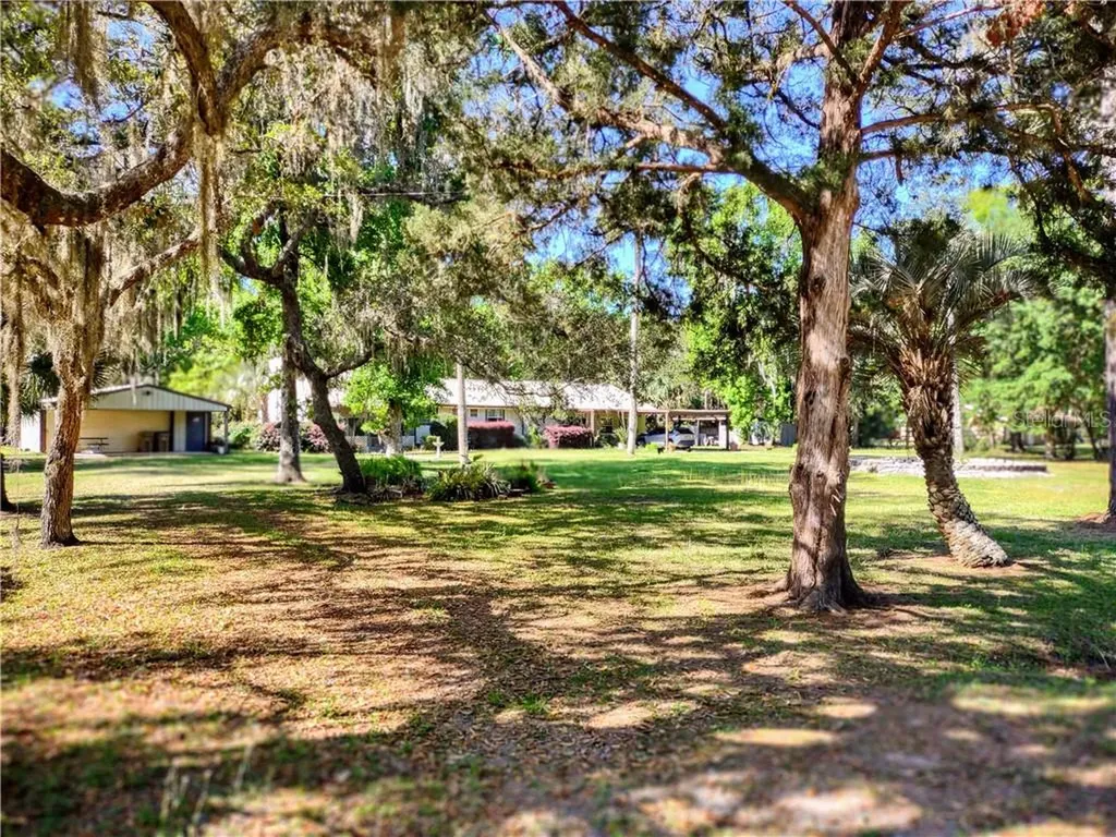 22308 Blue Creek Lodge Road Astor FL 32102