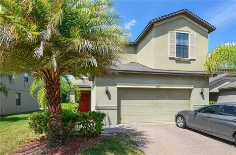 19914 Satin Leaf Avenue Tampa FL 33647