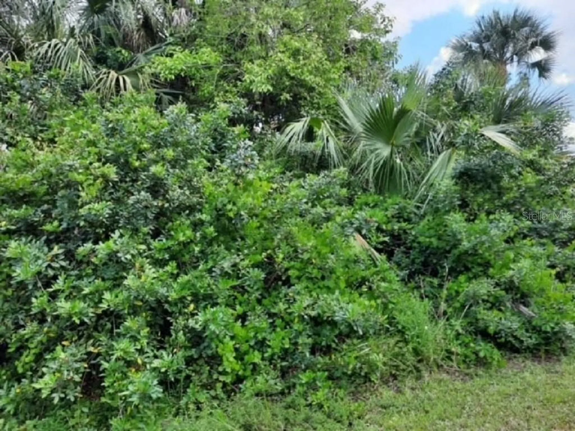 6014 Juliet Avenue Fort Myers FL 33905