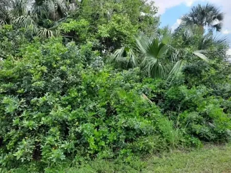 6014 Juliet Avenue Fort Myers FL 33905